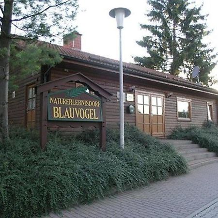 Ferienhaus Nr 32, Typ A, Ferienanlage Blauvogel, Hasselfelde, Harz Eksteriør billede