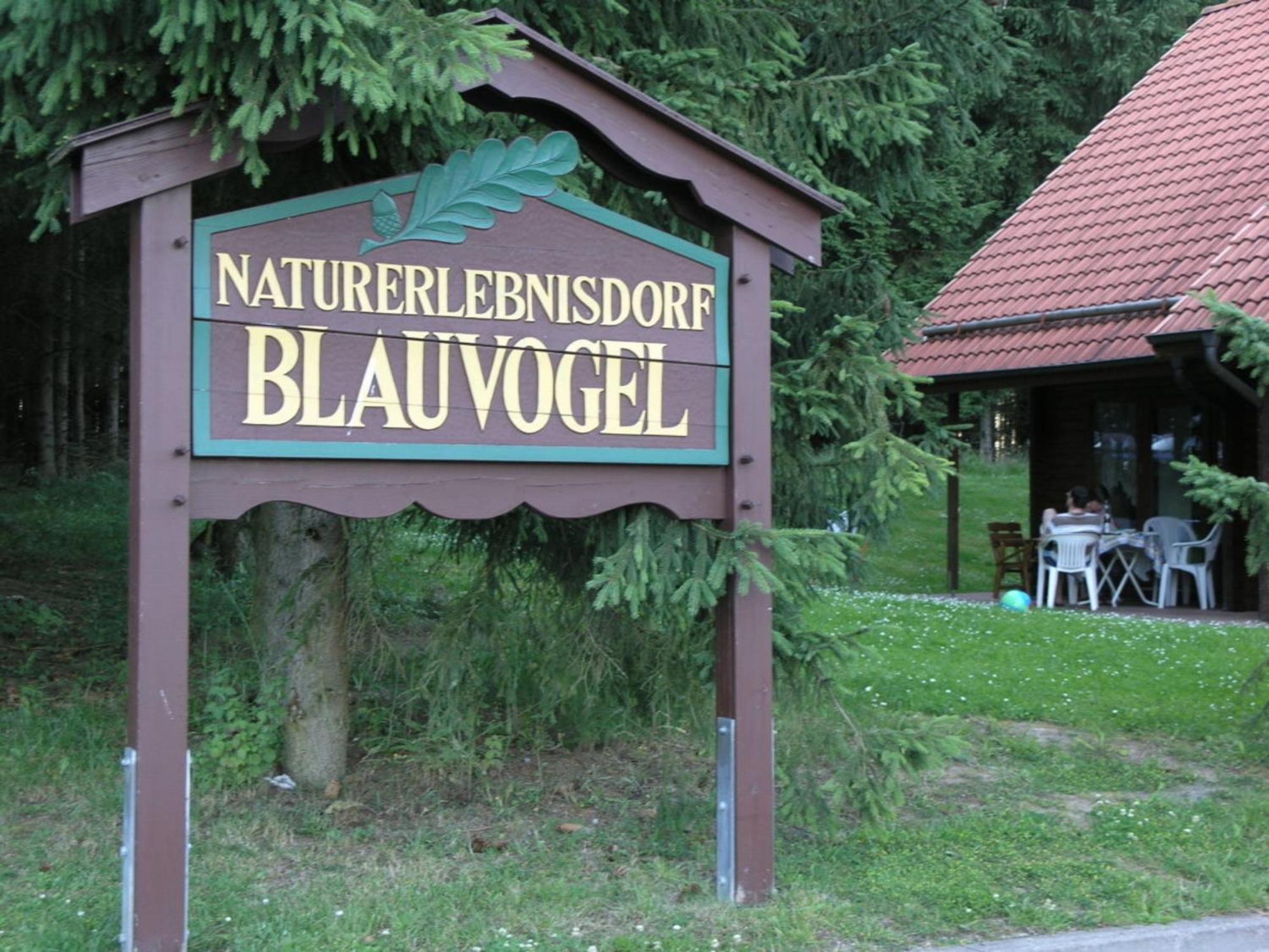 Ferienhaus Nr 32, Typ A, Ferienanlage Blauvogel, Hasselfelde, Harz Eksteriør billede